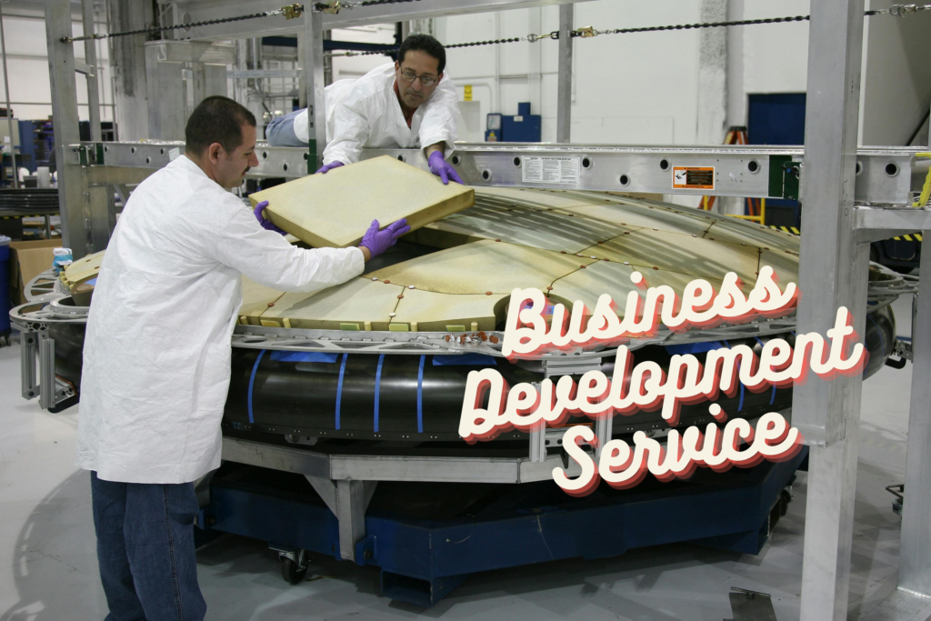 Business Development Service