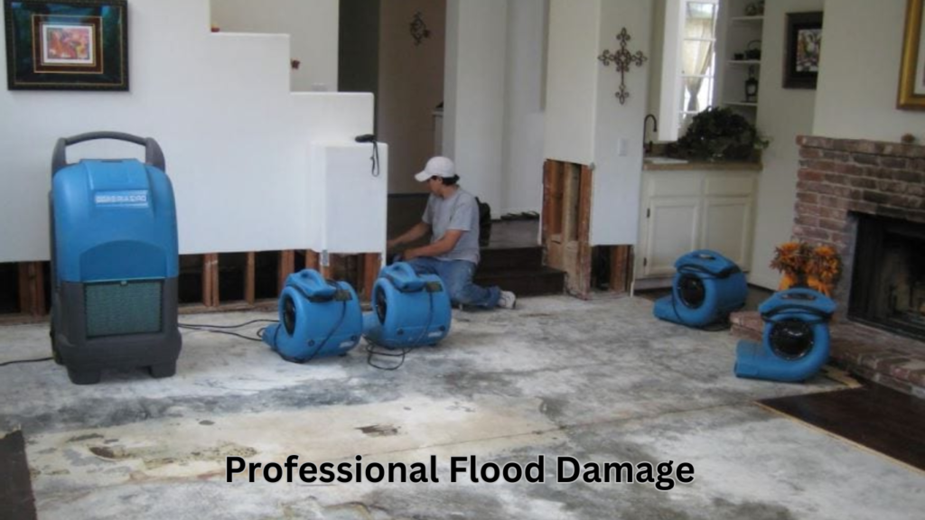Professional Flood Damage