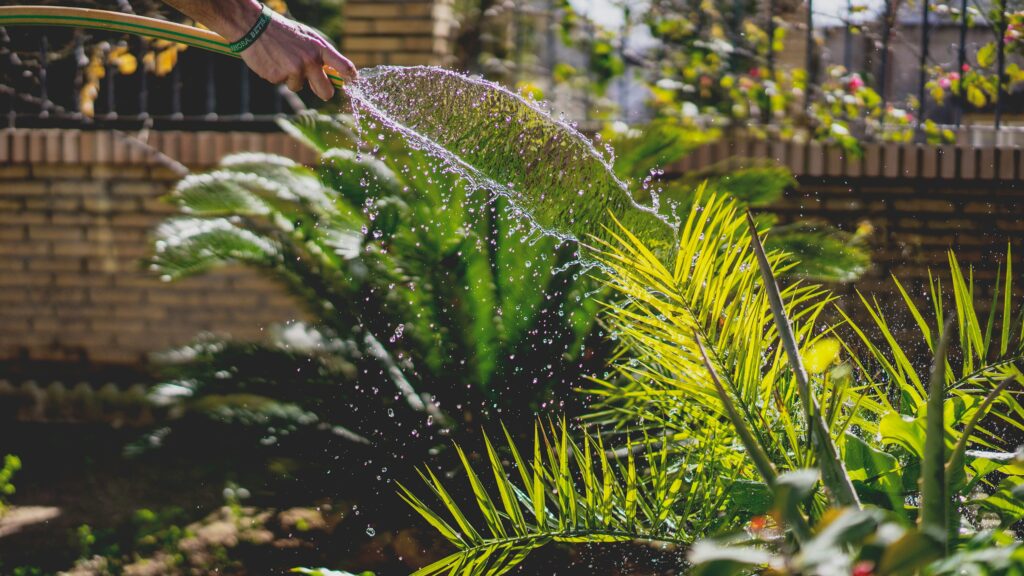 low-maintenance garden